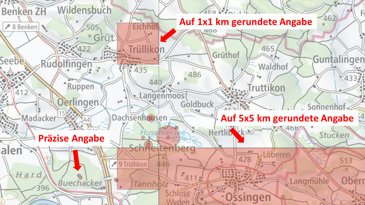 Veranschaulichung der Anzeige von Daten mit verschiedener Koordinatenauflösung auf einer Karte (aus der Platform VDC)