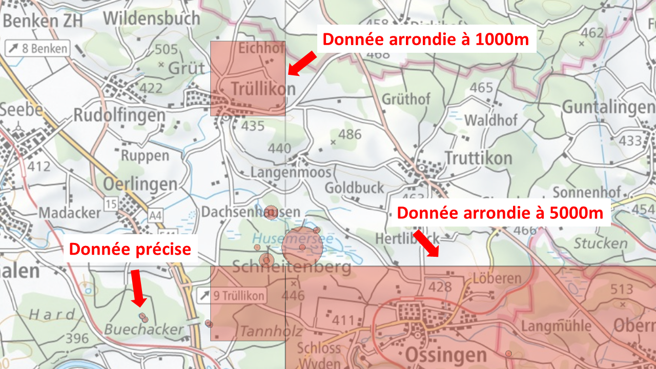 Aperçu du floutage géographique sur une carte (tiré de la plateforme VDC)